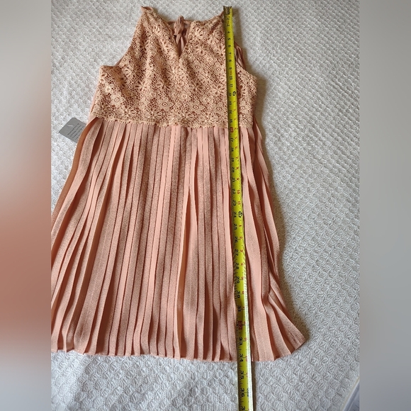 GREYLIN Elegant Lace Pleated Dress in Blush Size L - Picture 7 of 12